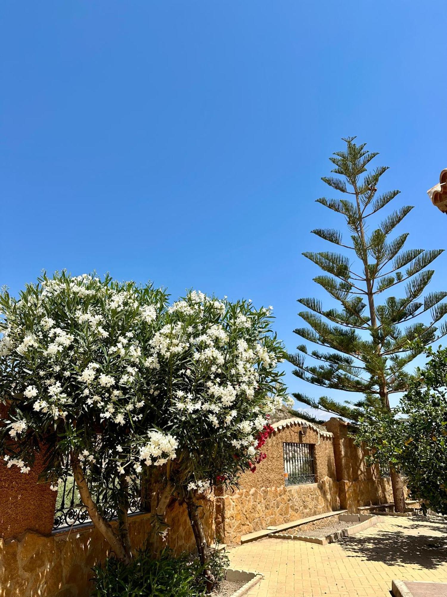 Casa Rural El Pomelo Сурхена Экстерьер фото